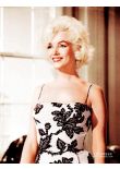 Marilyn Monroe Black and White Printed Dress Something's Gotta Give