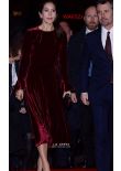 Princess Mary Inspired Burgundy Long-sleeve Velvet Formal Celebrity Dress